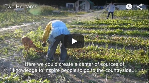 Two Hectares, Screenshot
