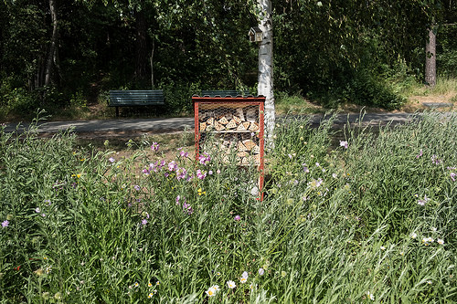 Biboden vid Lötsjön (2018). Foto: Erik Sjödin. Biboden vid Lötsjön (2018). Foto: Erik Sjödin.