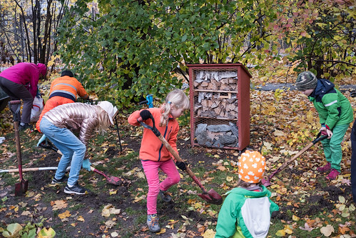 Anlägg en äng, workshop i Marabouparken 2019. Foto: Erik Sjödin. Anlägg en äng, workshop i Marabouparken 2019. Foto: Erik Sjödin.