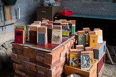 Den politiska biodlarens bibliotek, Under tallarna (2015). Foto: Erik Sjödin.