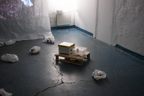 Bumble Bee Nest Box, Slakthusateljeerna (2017). Photo: Erik Sjödin.