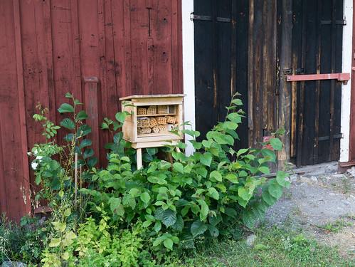 Våra vänner pollinatörerna, Hästa gård (2012). Foto: Erik Sjödin. Våra vänner pollinatörerna, Hästa gård (2012). Foto: Erik Sjödin.