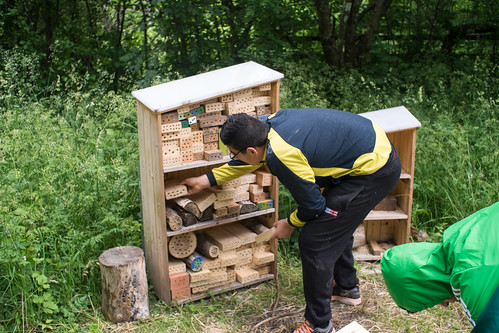 Our Friends the Pollinators, Eggeby grd (2014). Photo: Erik Sjdin.