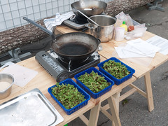 The Azolla Cooking and Cultivation Project at Färgfabriken (2010). Foto: Erik Sjödin.