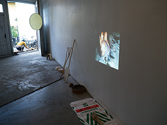 Tändved, UKS (2013). Foto: Erik Sjödin.