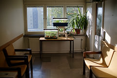Waiting Room, Survival Kit / Umeå (2014). Foto: Erik Sjödin.