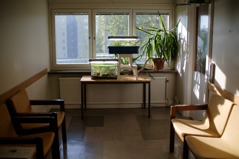 Waiting Room, Survival Kit Umeć (2014). Photo: Erik Sjödin. Waiting Room, Survival Kit Umeć (2014). Photo: Erik Sjödin.